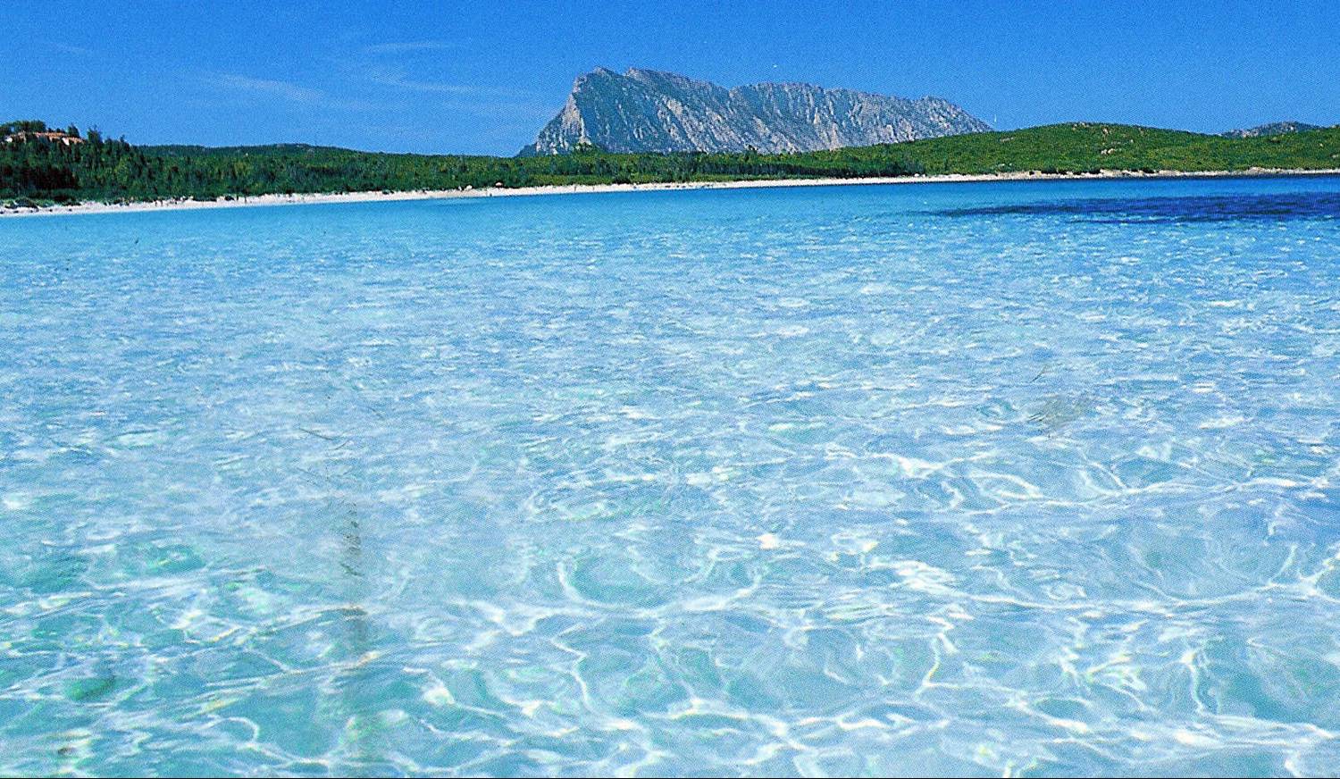 Spiagge San Teodoro - Sardegna - La Cinta - Cala Brandinchi