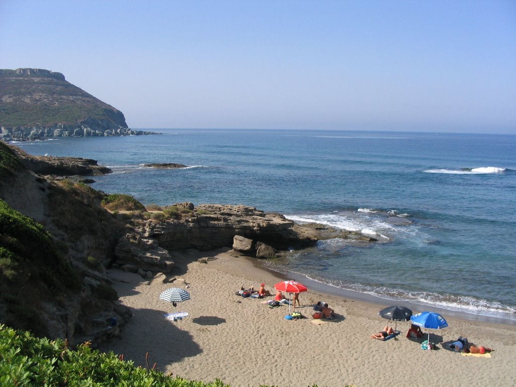 Foto 6