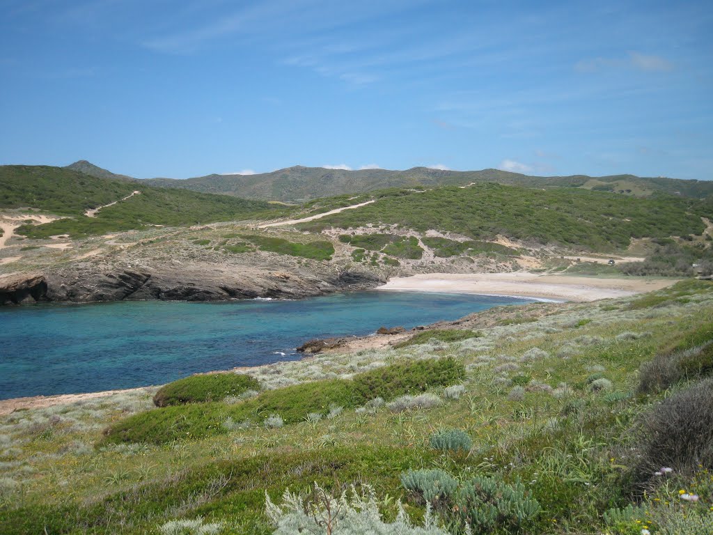 Foto 7