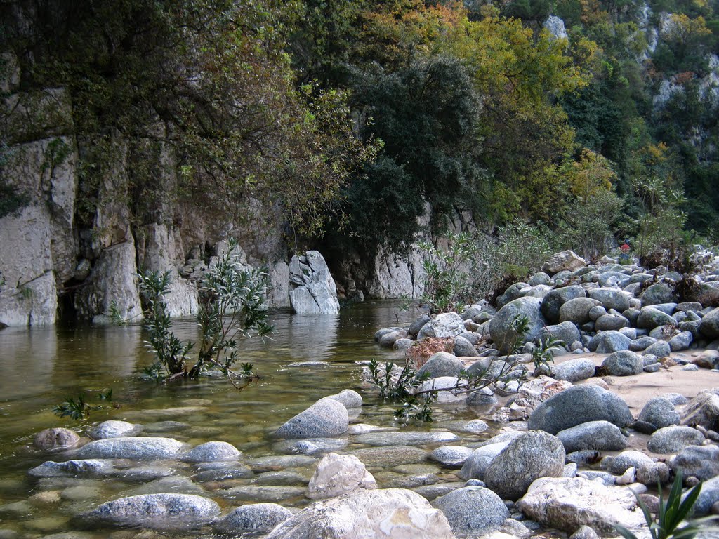 Foto 7