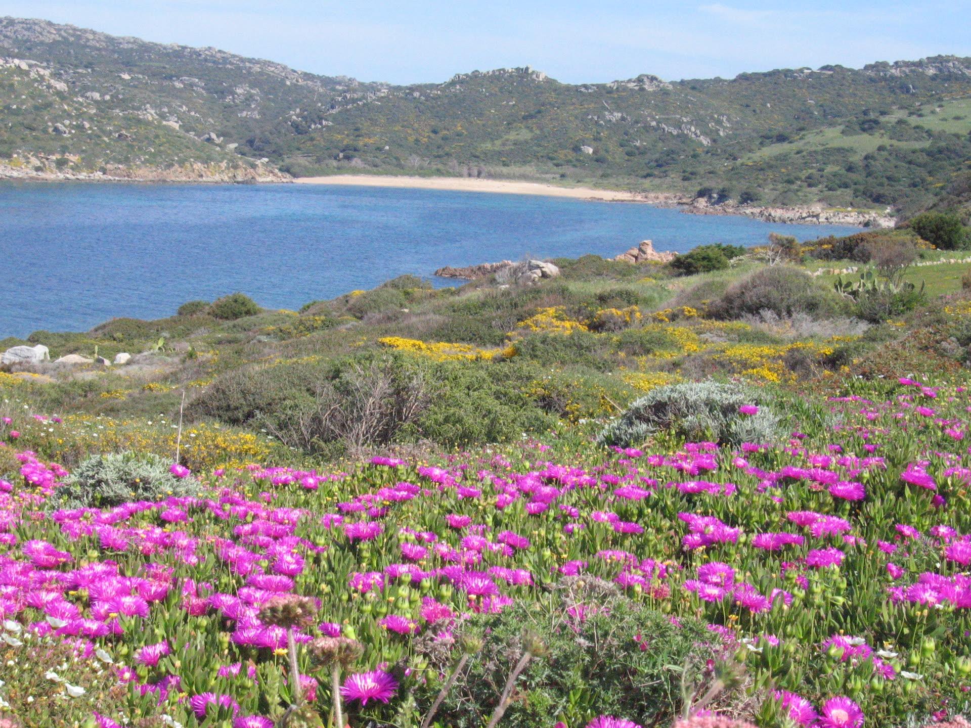 Porto Quadro Case Vacanze Santa Teresa Gallura - Photo 10